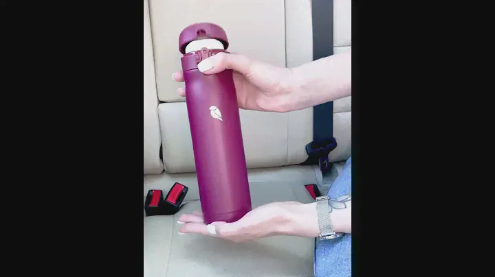 Термос для чая, кофе и напитков Sand Lark 500 ml