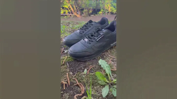 Кроссовки Reebok